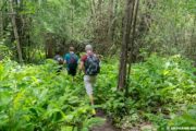 trekking thailand umphang